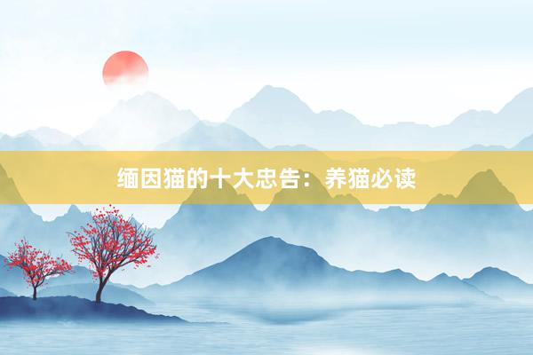 缅因猫的十大忠告：养猫必读
